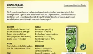 Bildvorschau