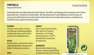 Bildvorschau