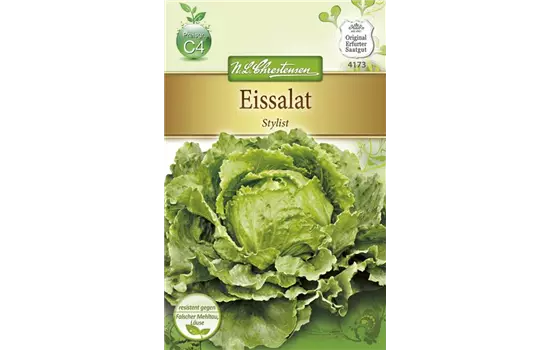 Eisbergsalatsamen 'Stylist'