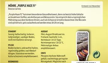 Bildvorschau