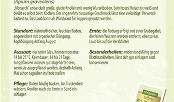 Bildvorschau