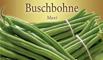 Bildvorschau