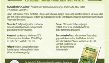 Bildvorschau