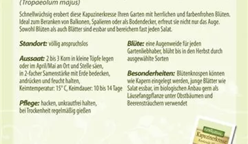 Bildvorschau