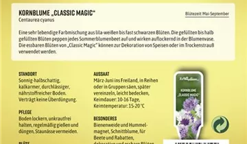 Bildvorschau