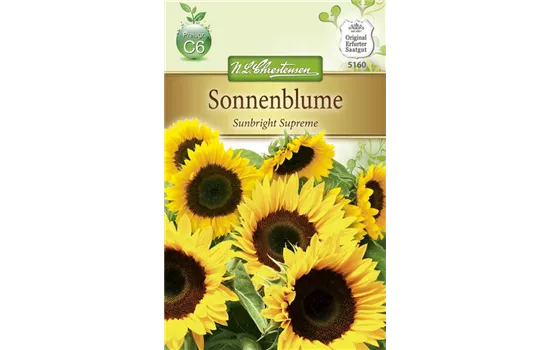Sonnenblumensamen 'Sunbright'