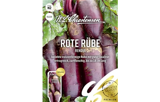 Rote Rübe-Samen 'Renova'