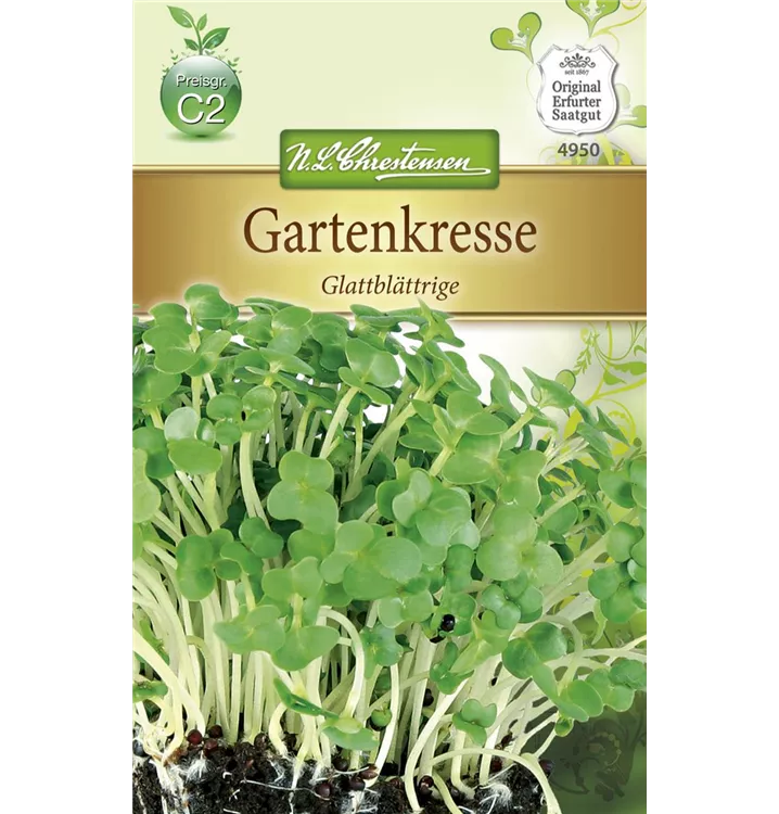 Lepidium sativum 'Glattblättrige'