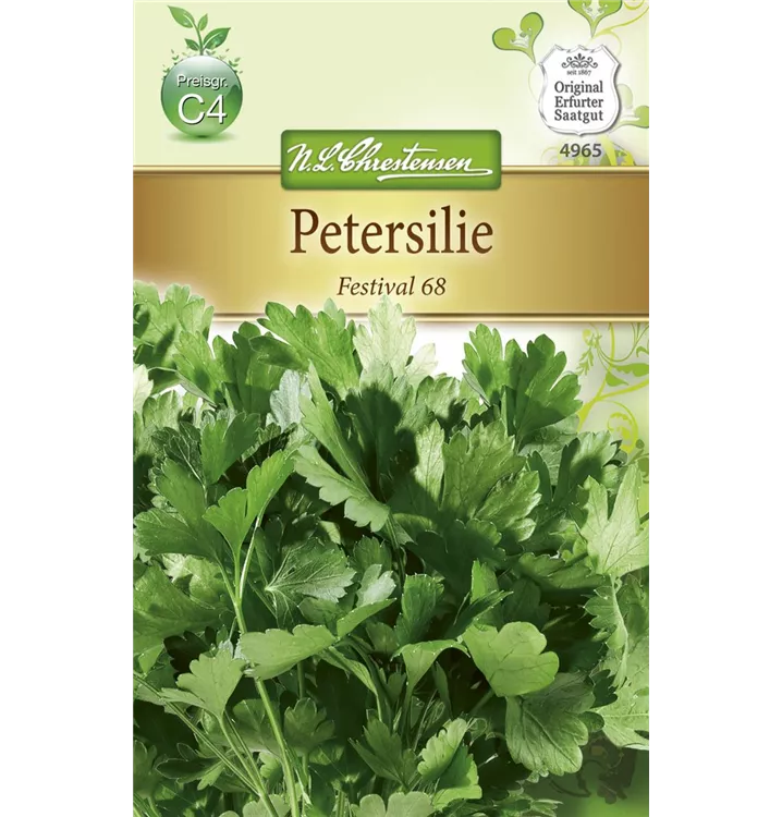 Petroselinum crispum 'Festival 68'
