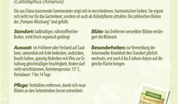 Bildvorschau