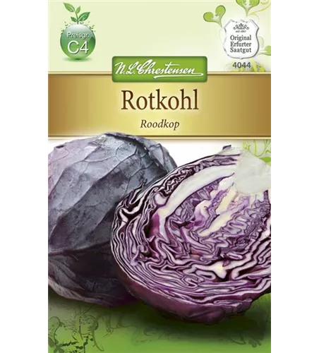 Rotkohlsamen 'Roodkop'