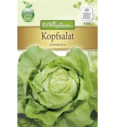 Kopfsalatsamen 'Attraktion'