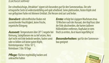 Bildvorschau