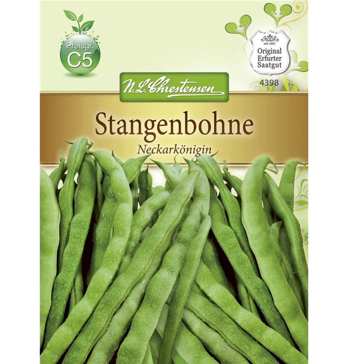 Phaseolus vulgaris var. vulgaris 'Neckarkönigin'