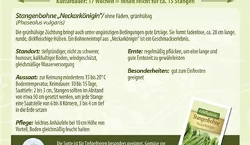 Bildvorschau