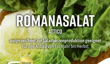 Bildvorschau