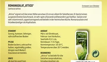 Bildvorschau