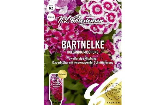 Bartnelkensamen 'Hollandia Mix'