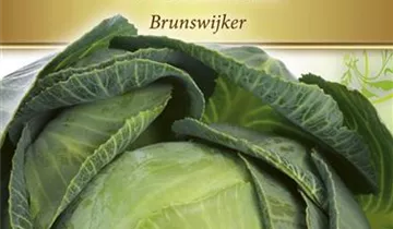 Bildvorschau