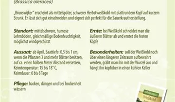 Bildvorschau