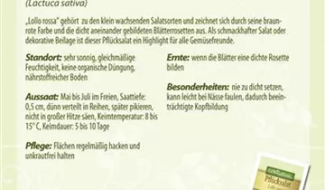 Bildvorschau