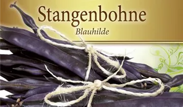 Bildvorschau