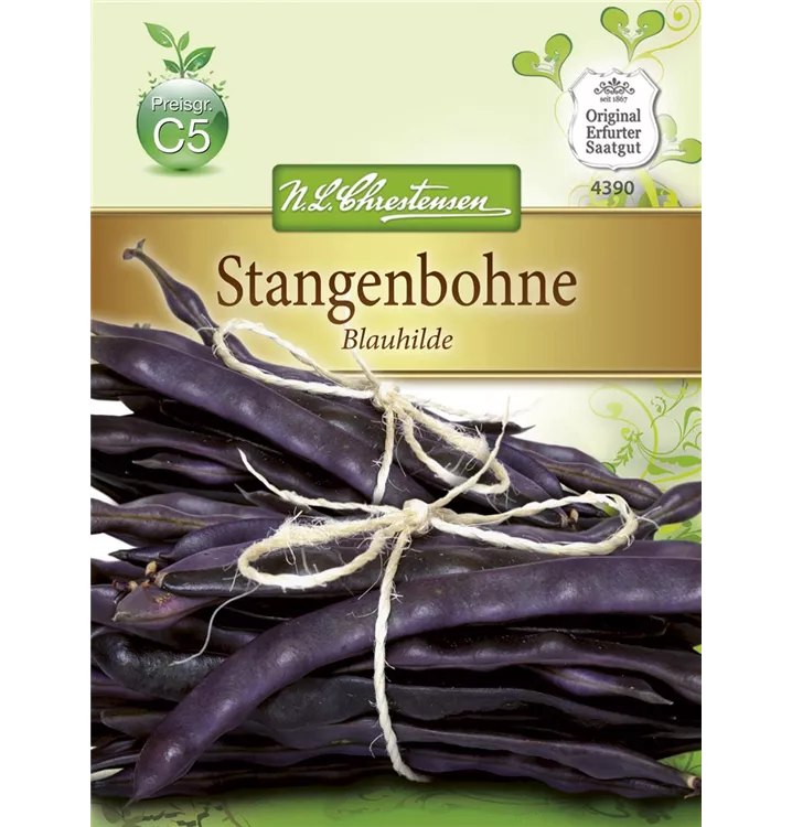 Phaseolus vulgaris var. vulgaris 'Blauhilde'