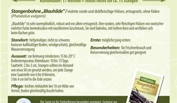 Bildvorschau