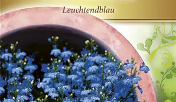 Bildvorschau