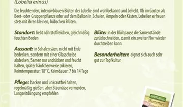 Bildvorschau
