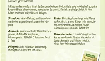 Bildvorschau