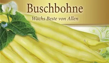 Bildvorschau
