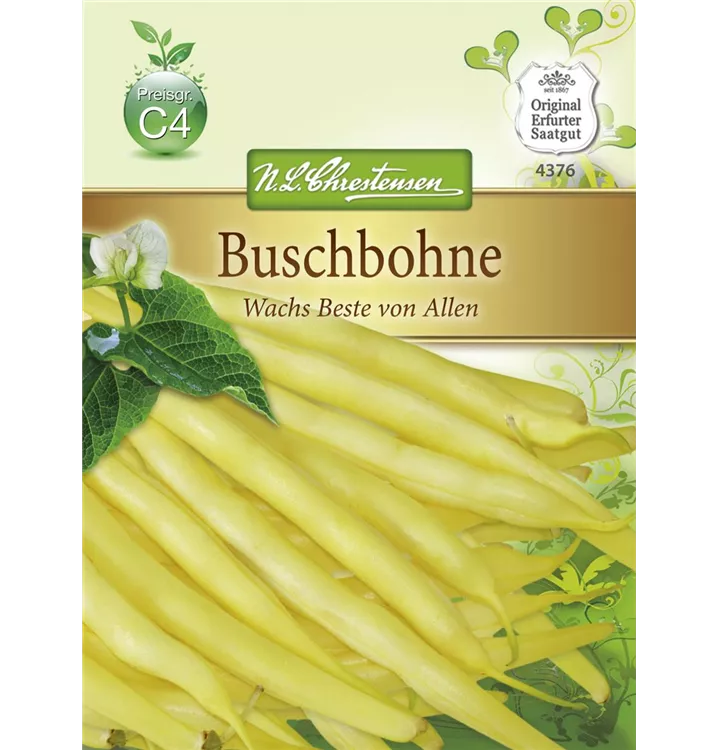 Phaseolus vulgaris var. nanus 'Wachs Beste von Allen'
