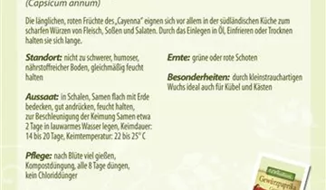 Bildvorschau