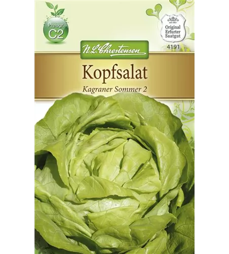 Kopfsalatsamen 'Kagraner Sommer 2'