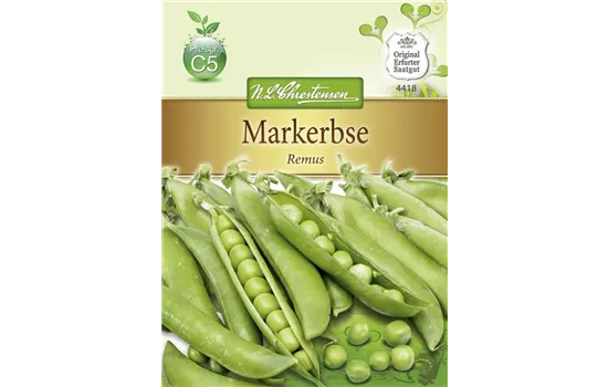 Erbsensamen 'Remus'