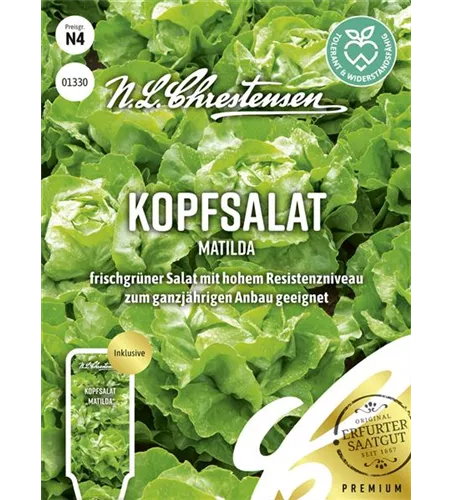 Kopfsalatsamen 'Matilda'