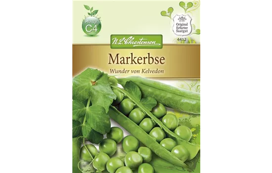 Erbsensamen 'Wunder von Kelvedon'