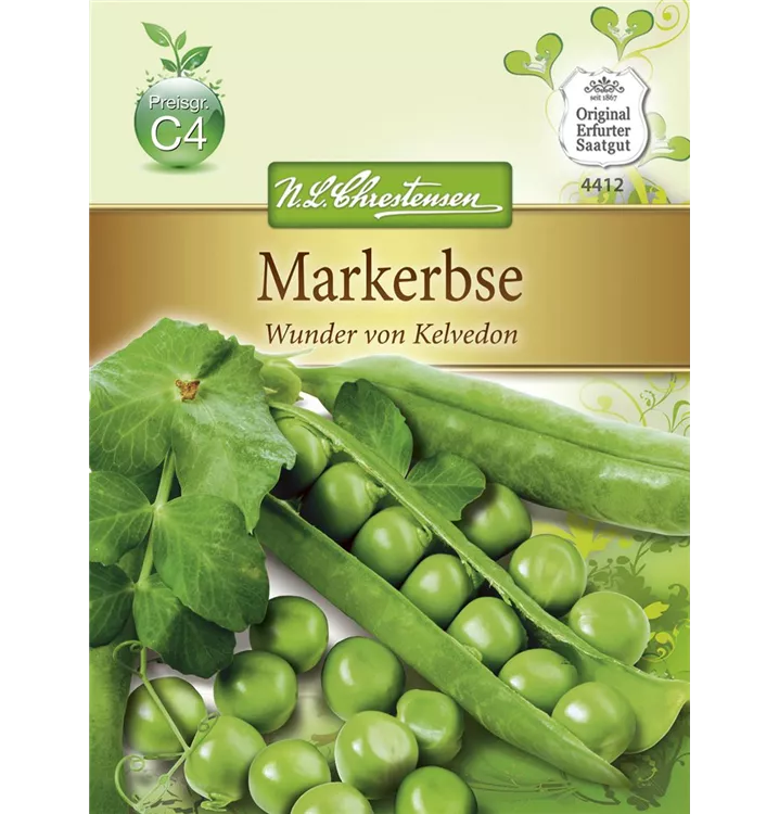 Pisum sativum 'Wunder von Kelvedon'