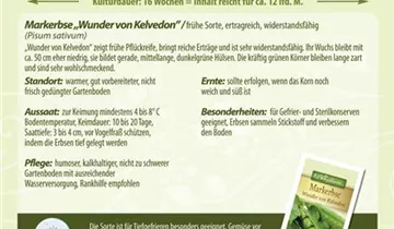 Bildvorschau