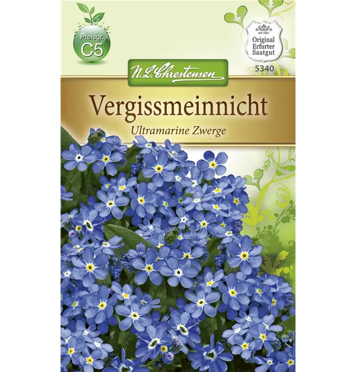 Myosotis sylvatica 'Ultramarine Zwerg'