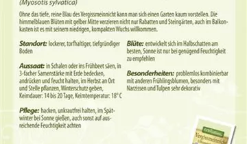 Bildvorschau