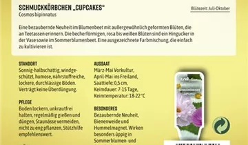 Bildvorschau