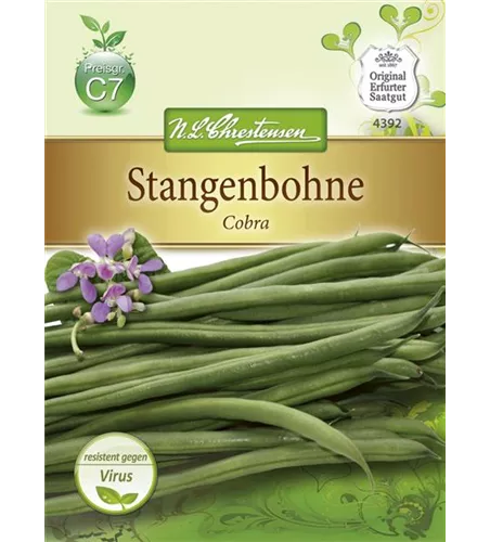 Stangenbohnensamen 'Cobra'