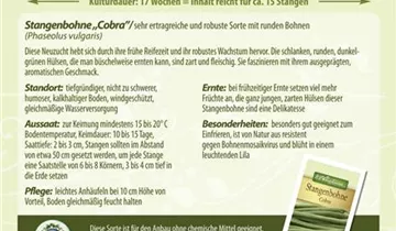 Bildvorschau