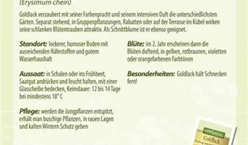 Bildvorschau