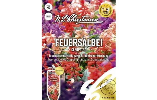 Feuersalbeisamen 'Cleopatra'