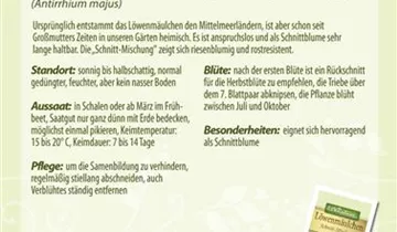 Bildvorschau
