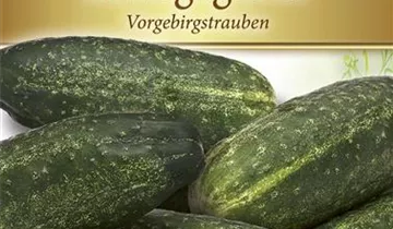 Bildvorschau