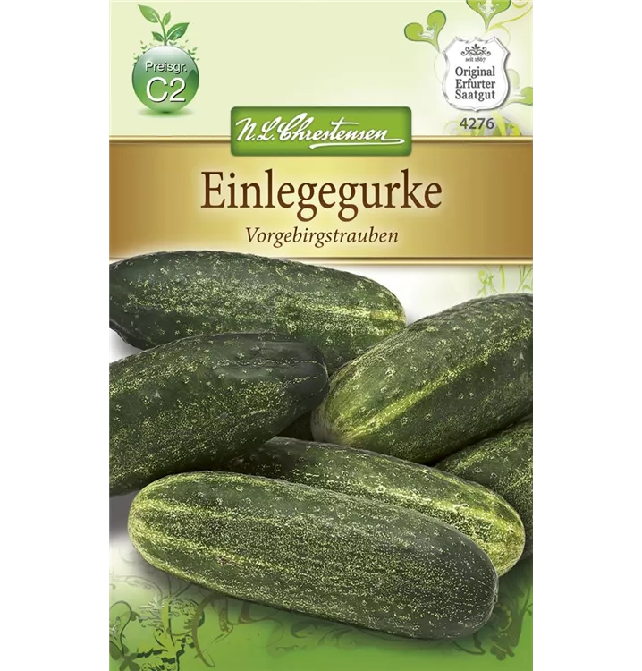 Cucumis sativus 'Vorgebirgstrauben'